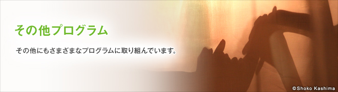 その他プログラム